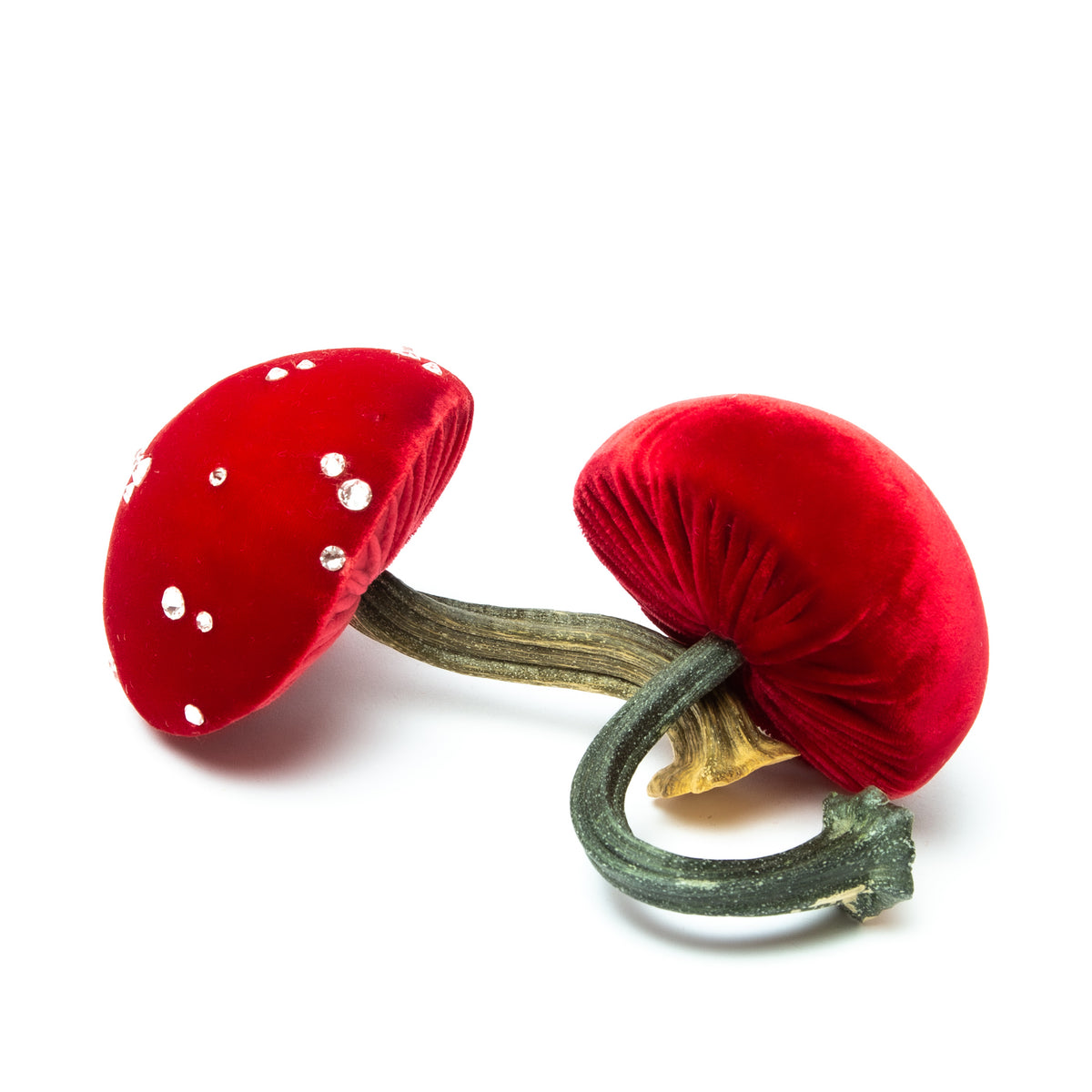 Small poppy Mushrooms
