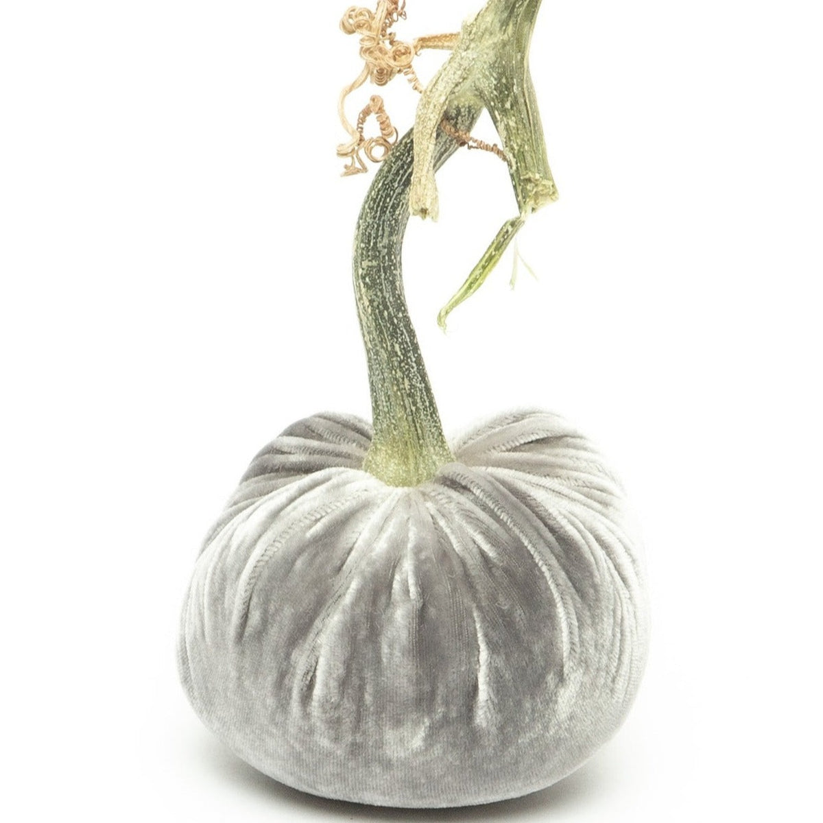 Grey Silk Velvet Pumpkin