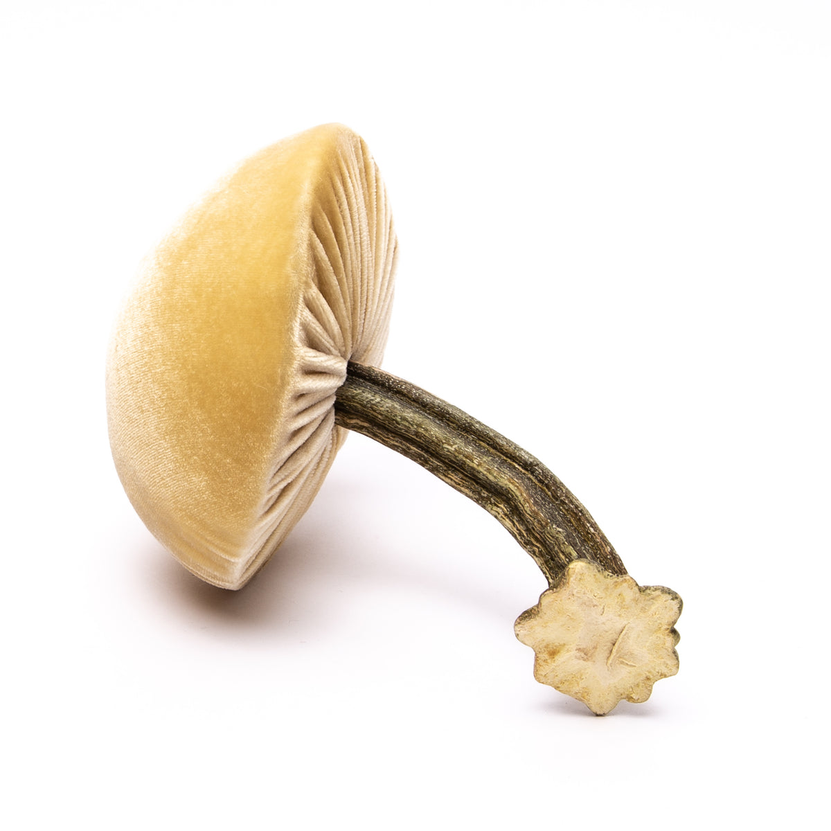 Medium Husk Mushrooms