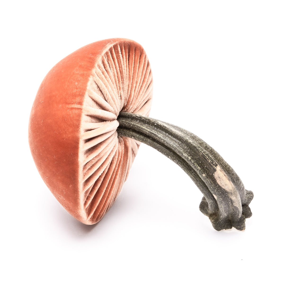 Medium Spice Mushrooms