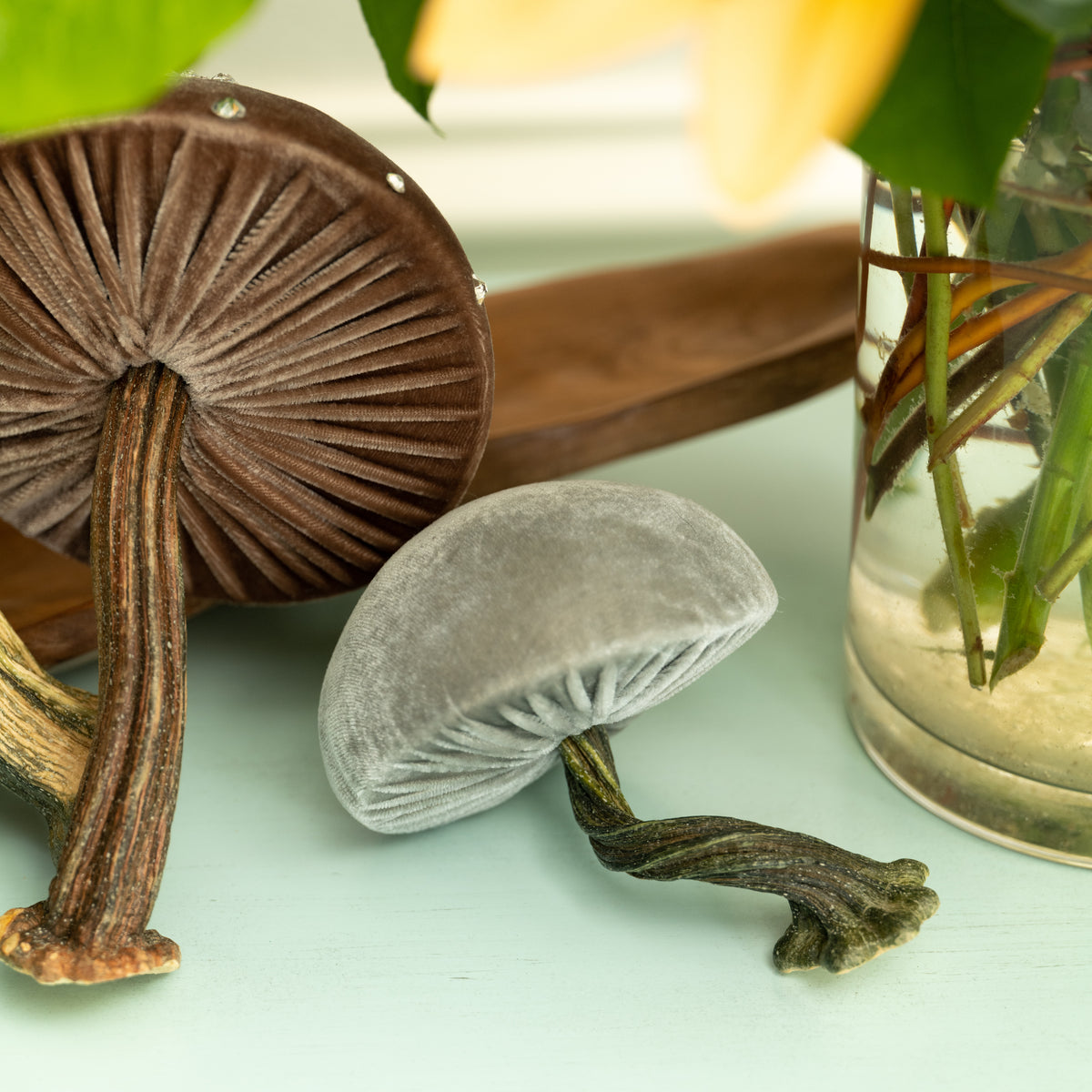 Medium Spa Mushrooms