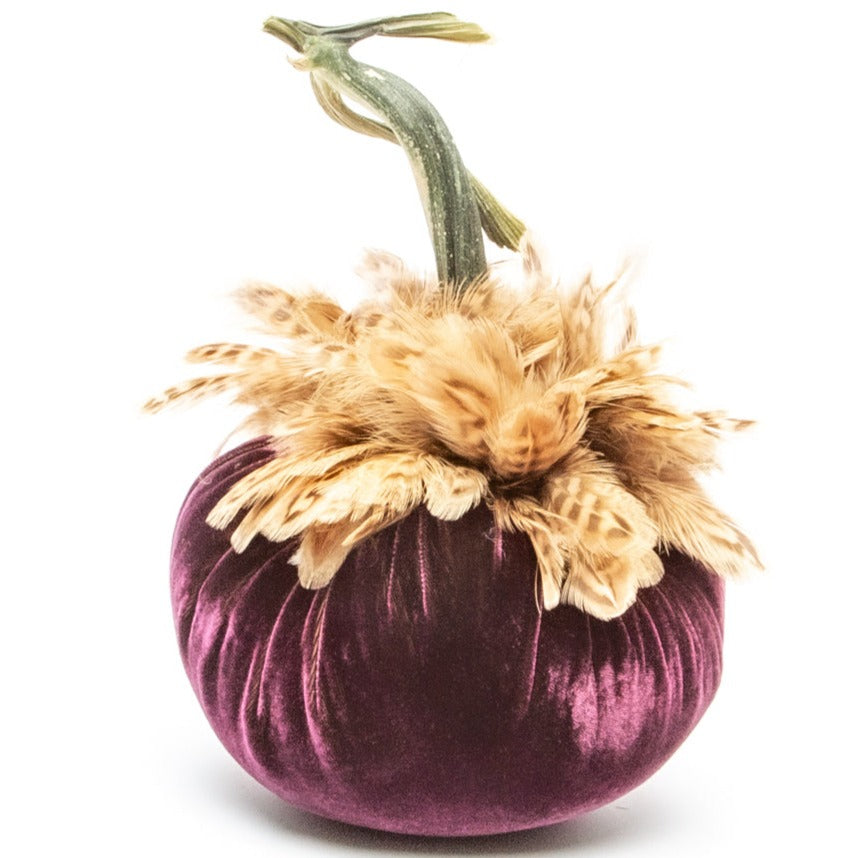 NEW 6&quot; Eggplant w/Natural Ringneck Pheasant Collar