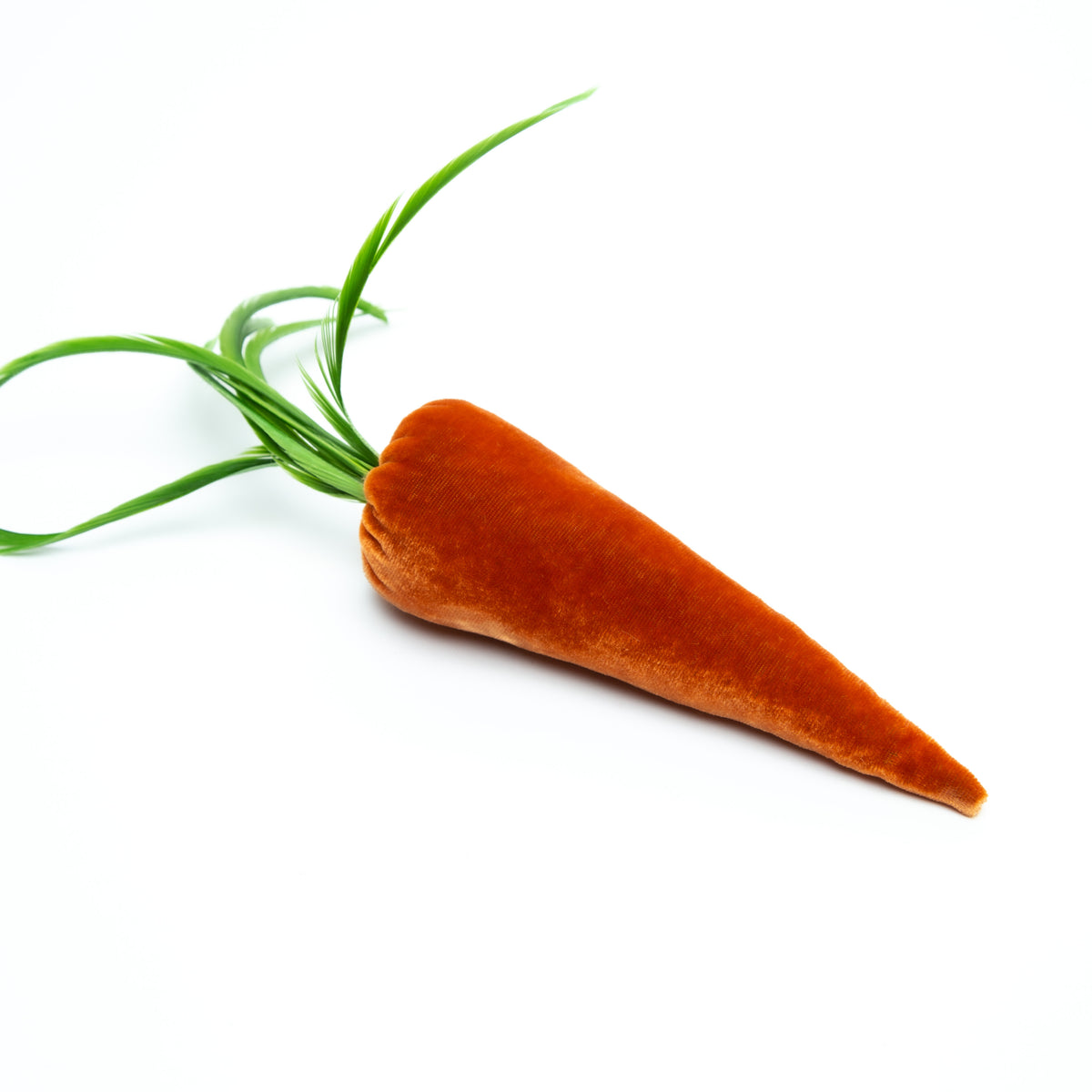 Carrot- Persimmon