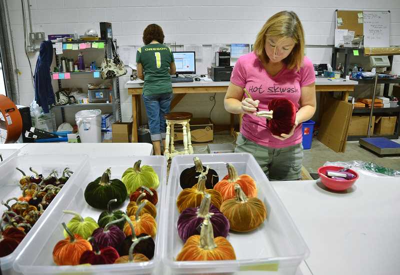 Pretty pumpkin patch brings joy, beauty