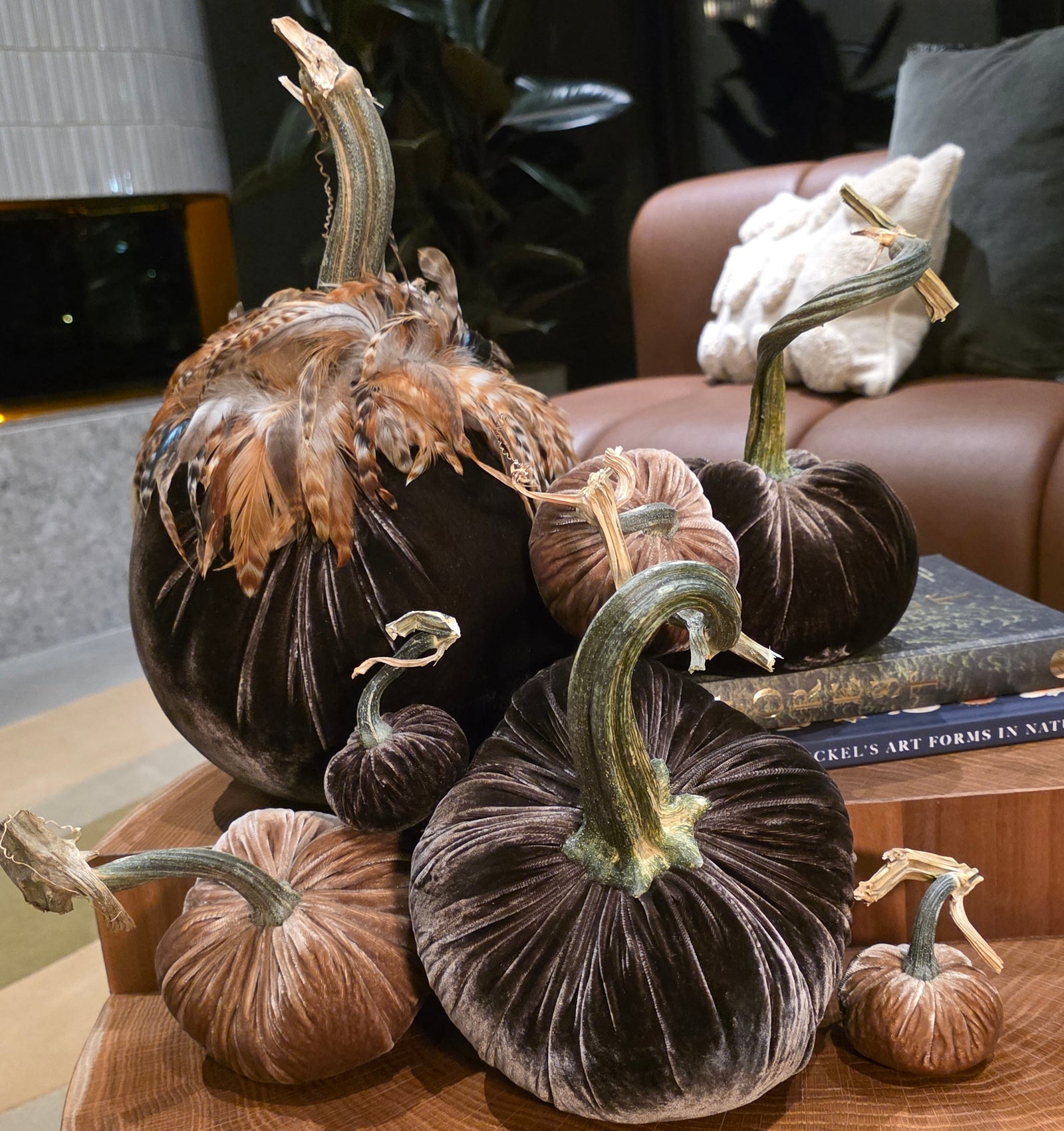 Espresso & Mocha Velvet Pumpkin Coffee Table Decor