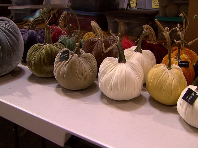 Hot Skwash: Kitchen craft to international business