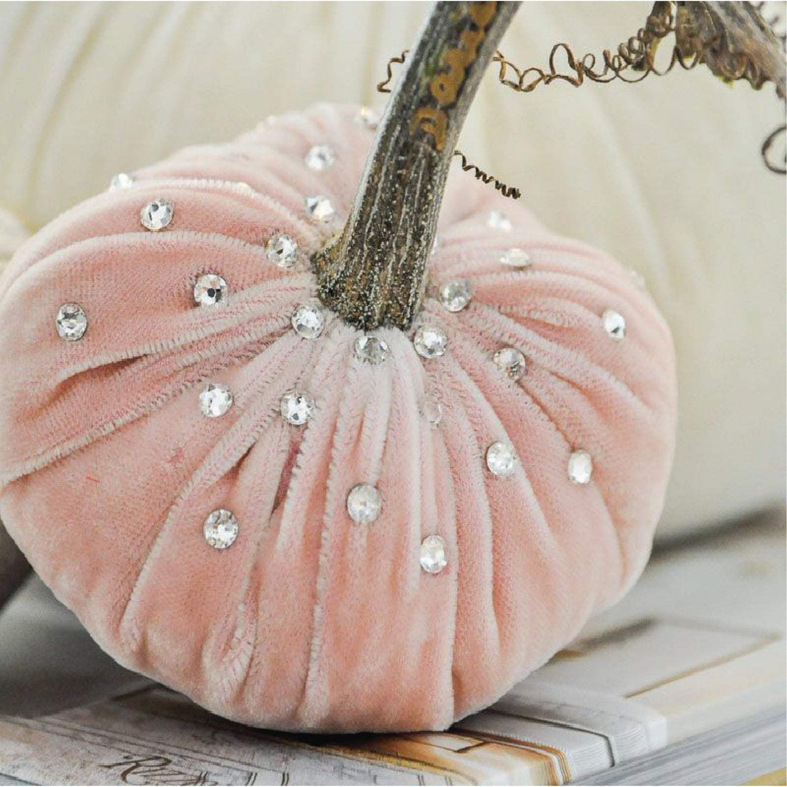 Hot Skwash | Silk Velvet Pumpkins with Crystals