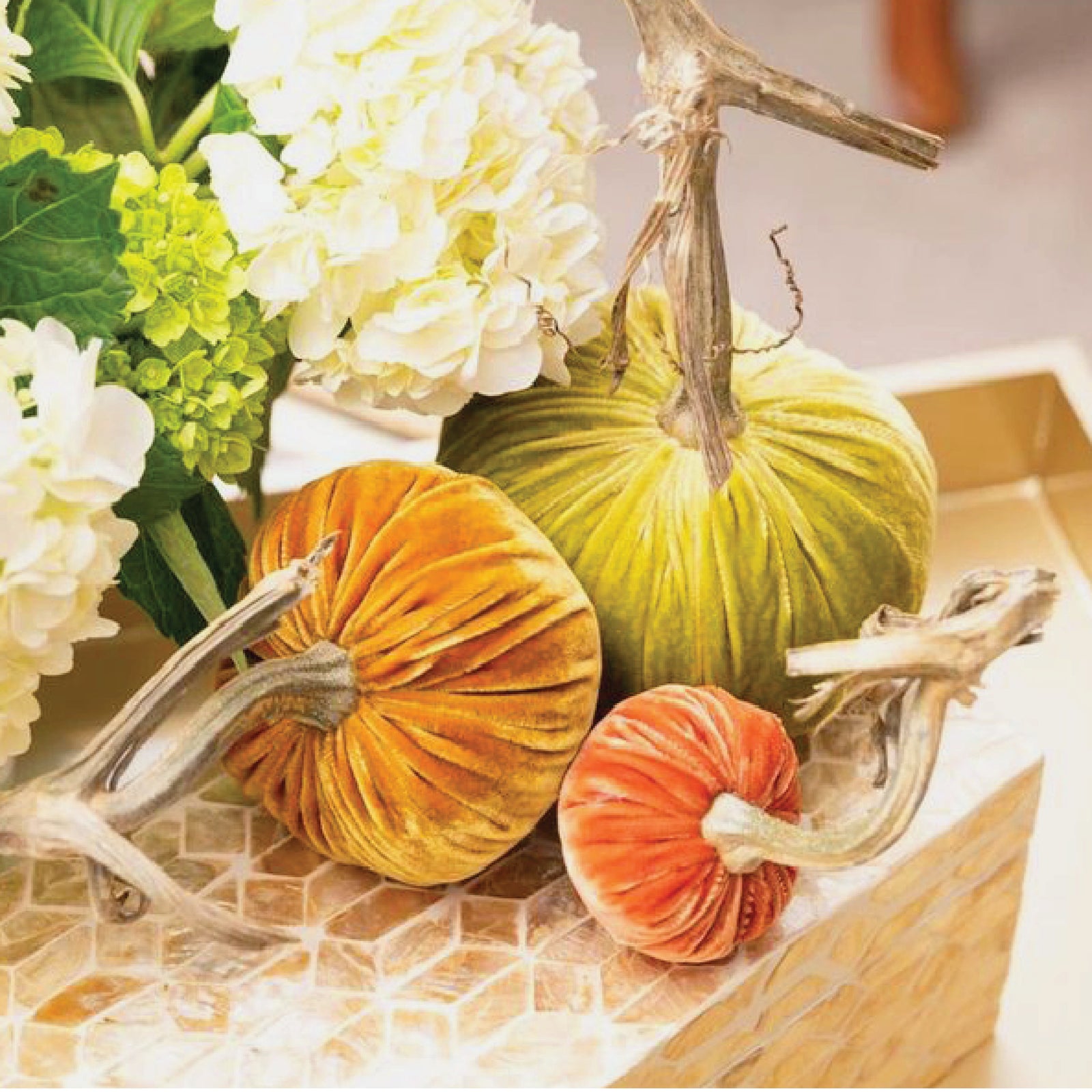 Pumpkin Sets