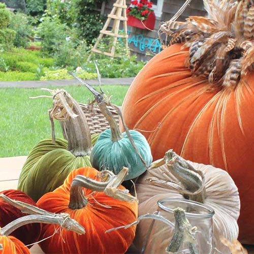 Shop Fall