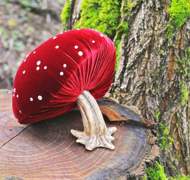 Silk Velvet Mushroom