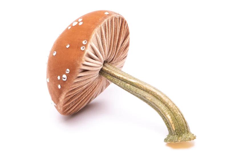 Silk Velvet Mushrooms
