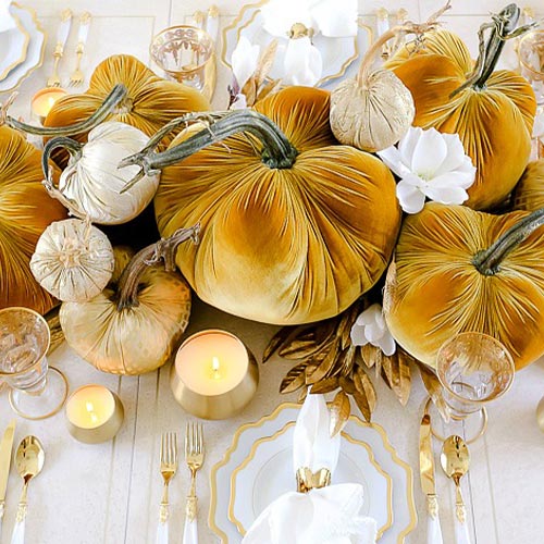 Shop All Velvet Pumpkins With Real Stems