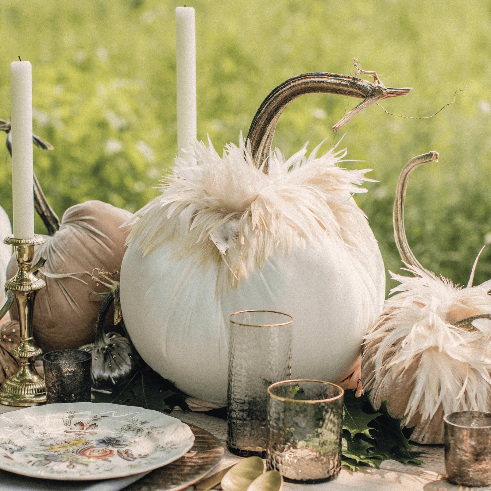 Pumpkins with Feathers