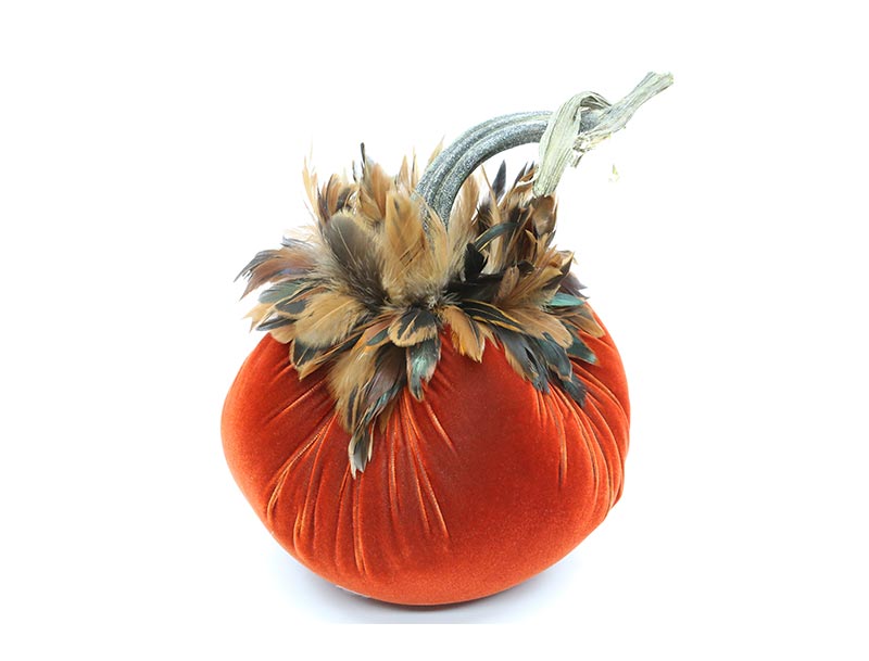 Pumpkins with Feathers