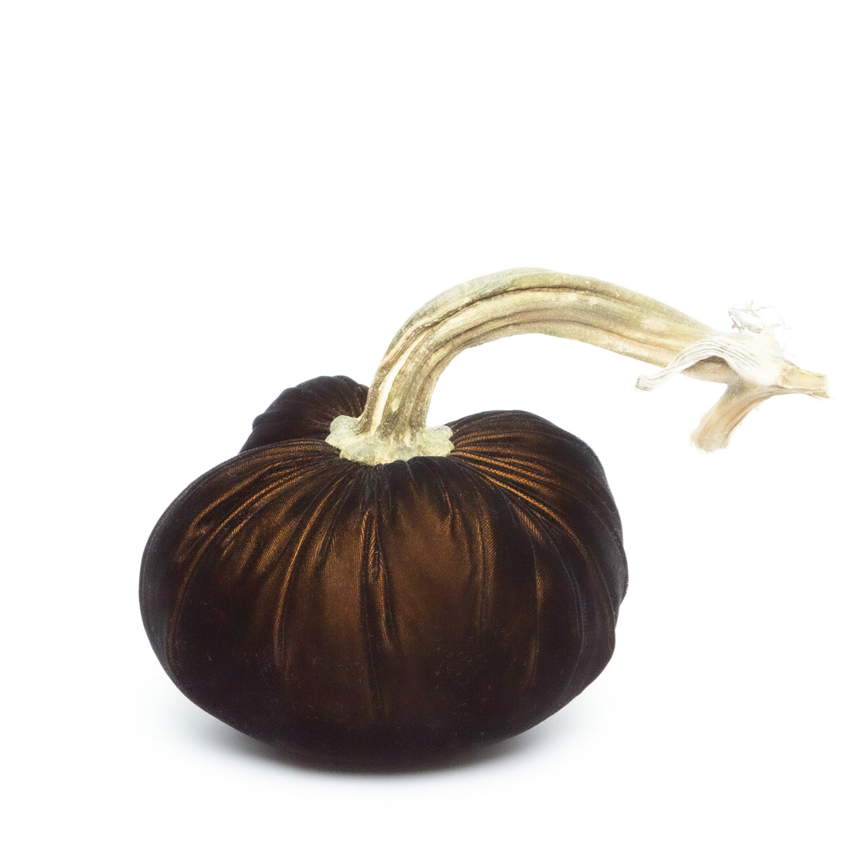 Black Gold Silk Velvet Pumpkin