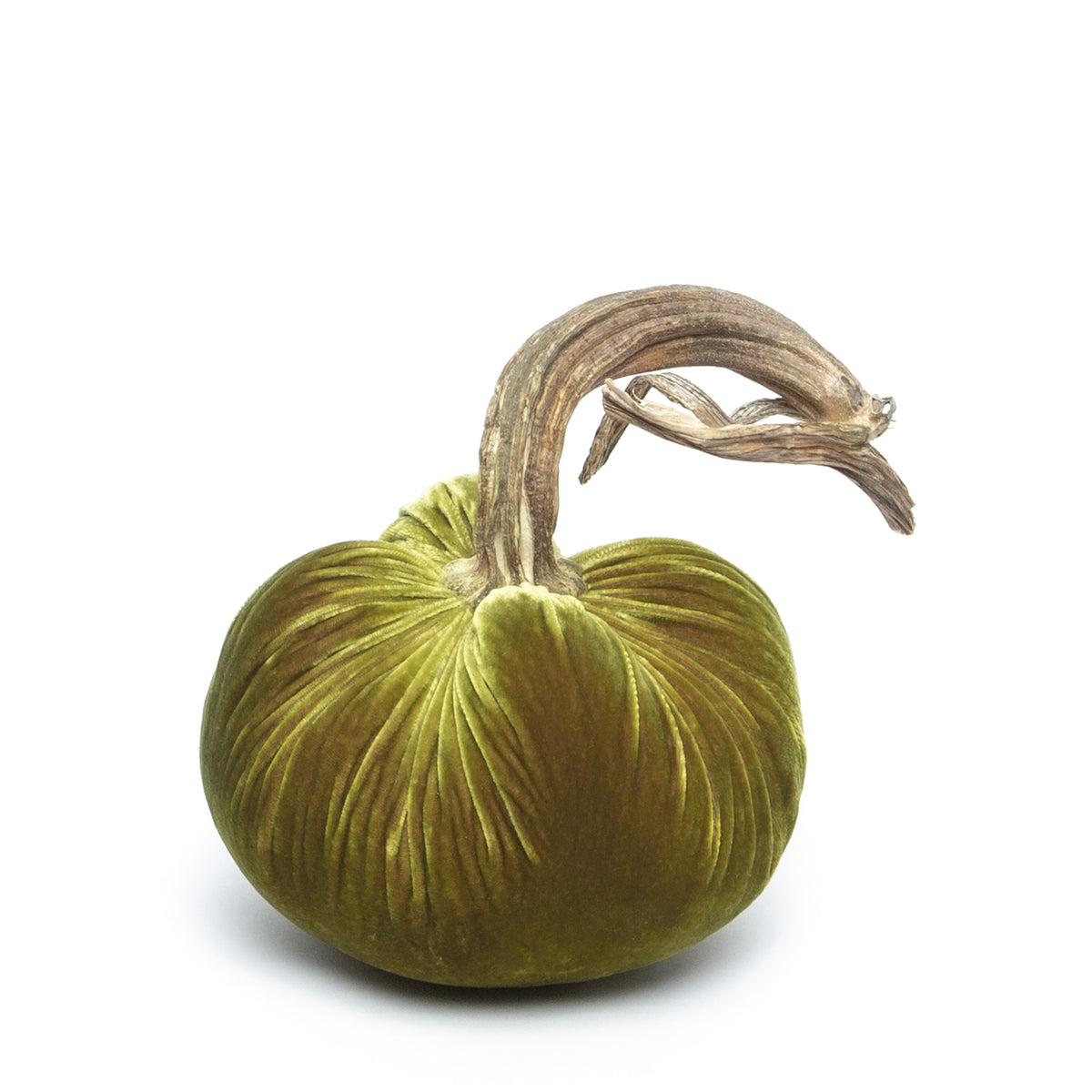 Cactus Silk Velvet Pumpkin