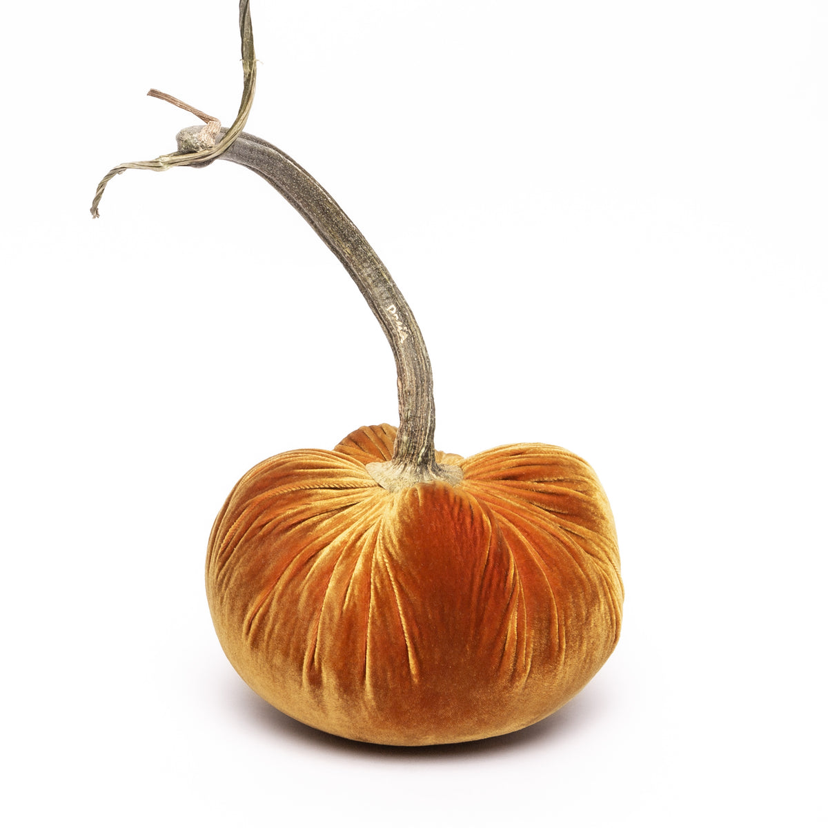 D&#39;or Silk Velvet Pumpkin