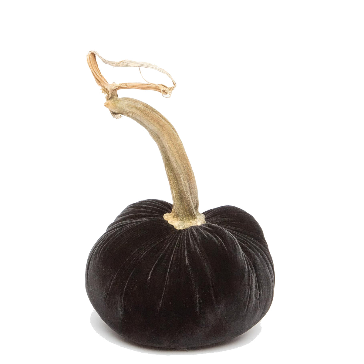 Ebony Silk Velvet Pumpkin