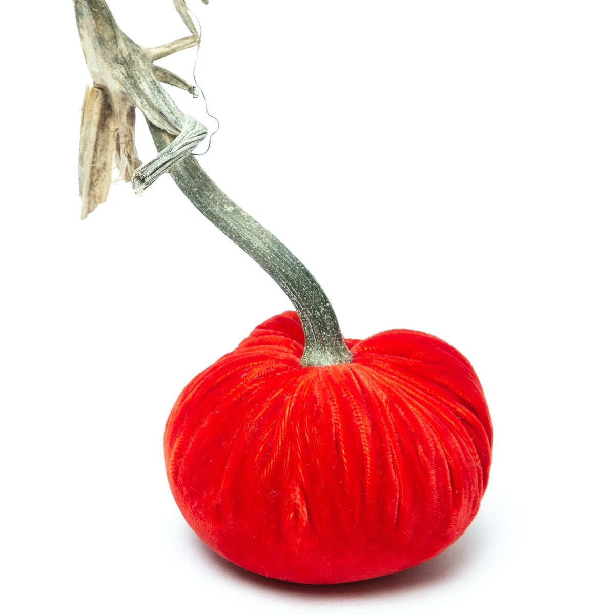 Flame Silk Velvet Pumpkin