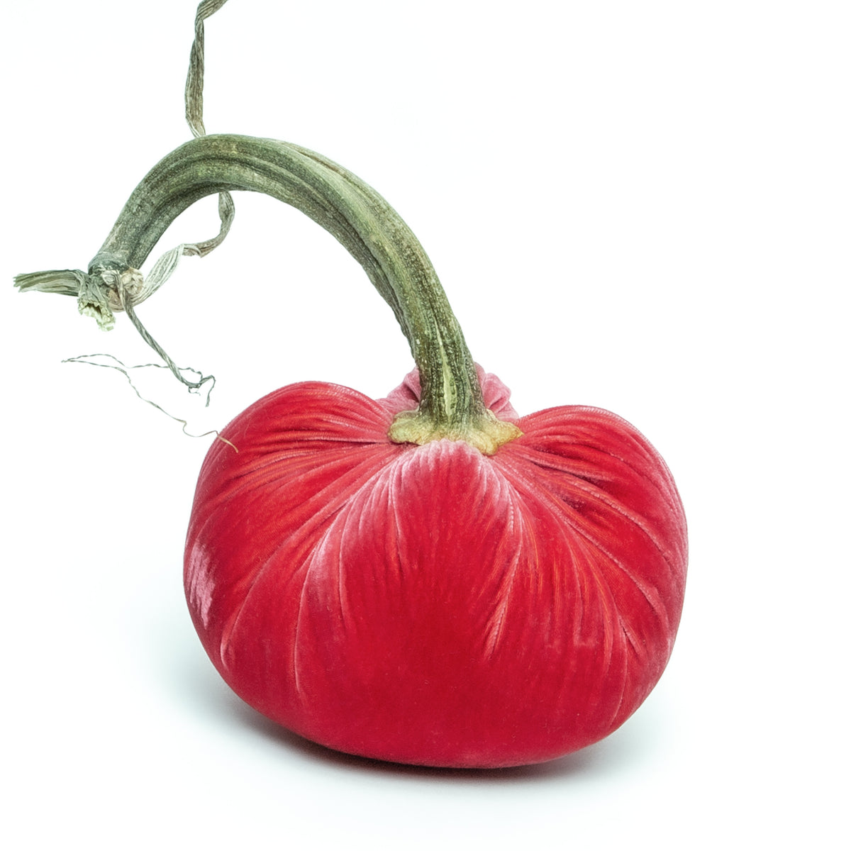 Guava Silk Velvet Pumpkin