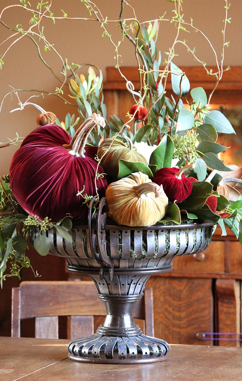 Hot Skwash Silk Velvet Pumpkins