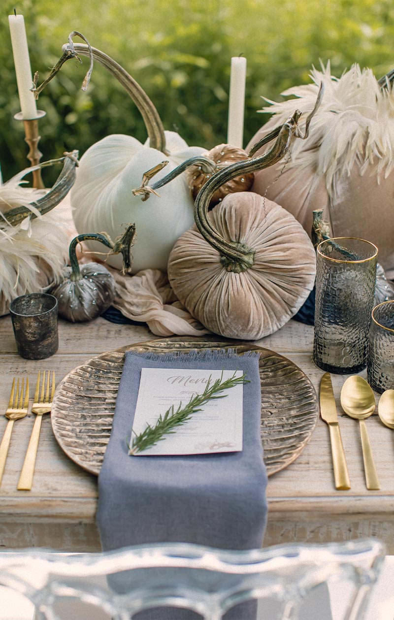 Hot Skwash Silk Velvet Pumpkins