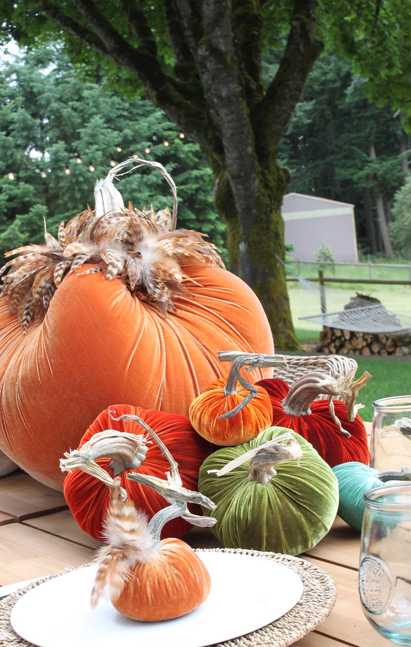 Hot Skwash Silk Velvet Pumpkins