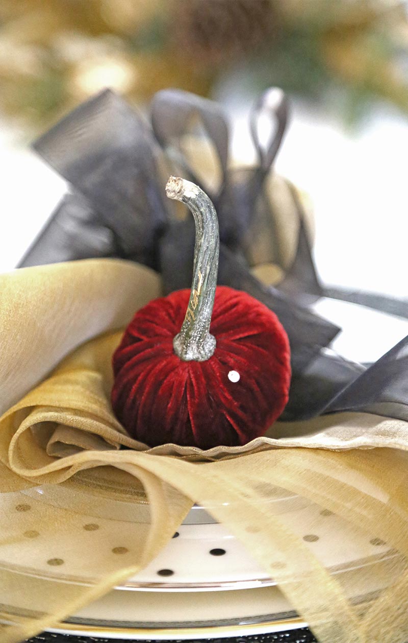 Hot Skwash Silk Velvet Pumpkins