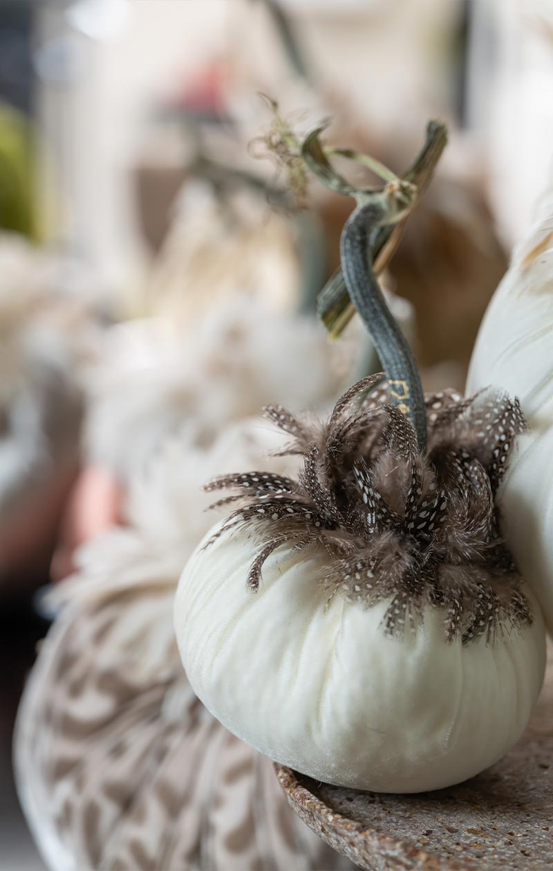 Hot Skwash Silk Velvet Pumpkins