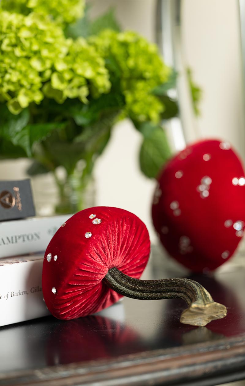 Hot Skwash Silk Velvet Pumpkins