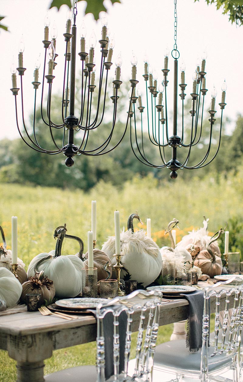 Hot Skwash Silk Velvet Pumpkins