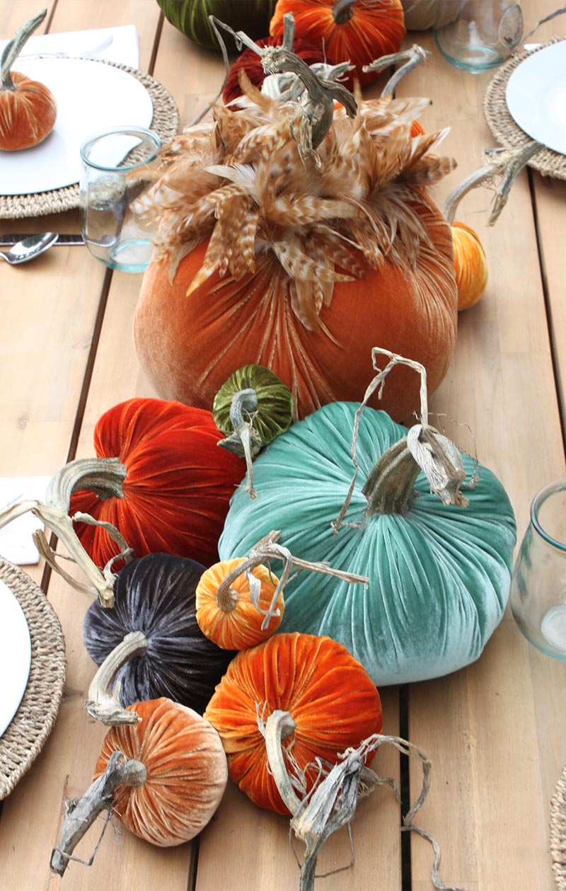 Hot Skwash Silk Velvet Pumpkins