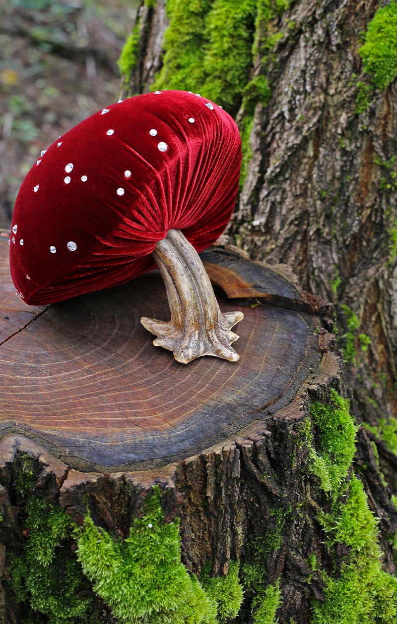 Hot Skwash Silk Velvet Pumpkins