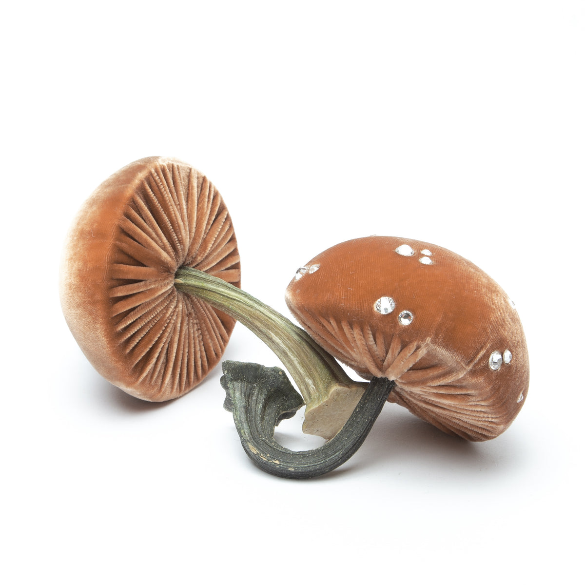 Small Spice Mushrooms