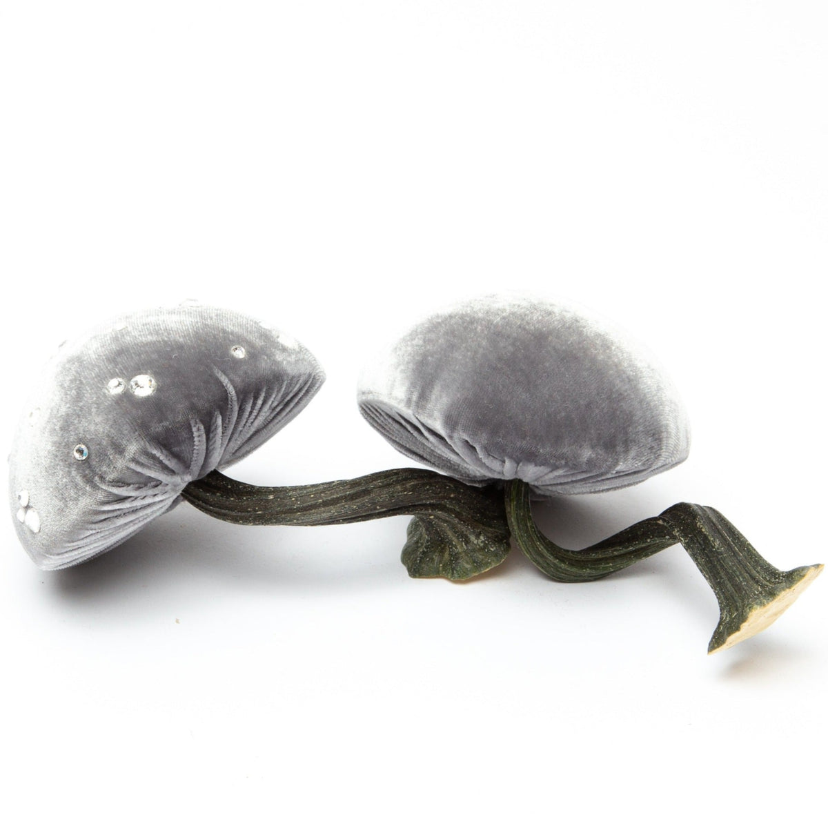 Small Grey Mushroom