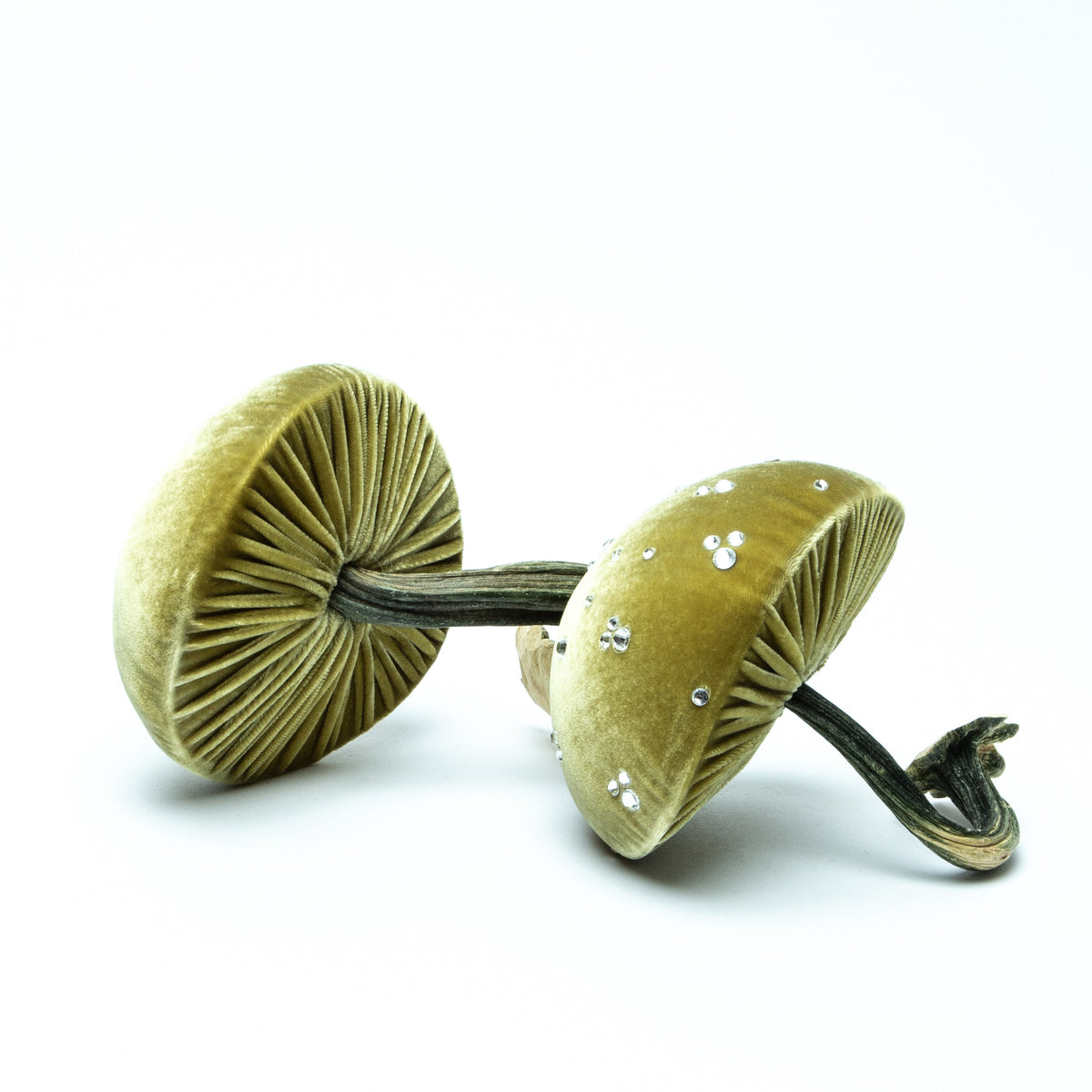 Medium Leaf Mushrooms