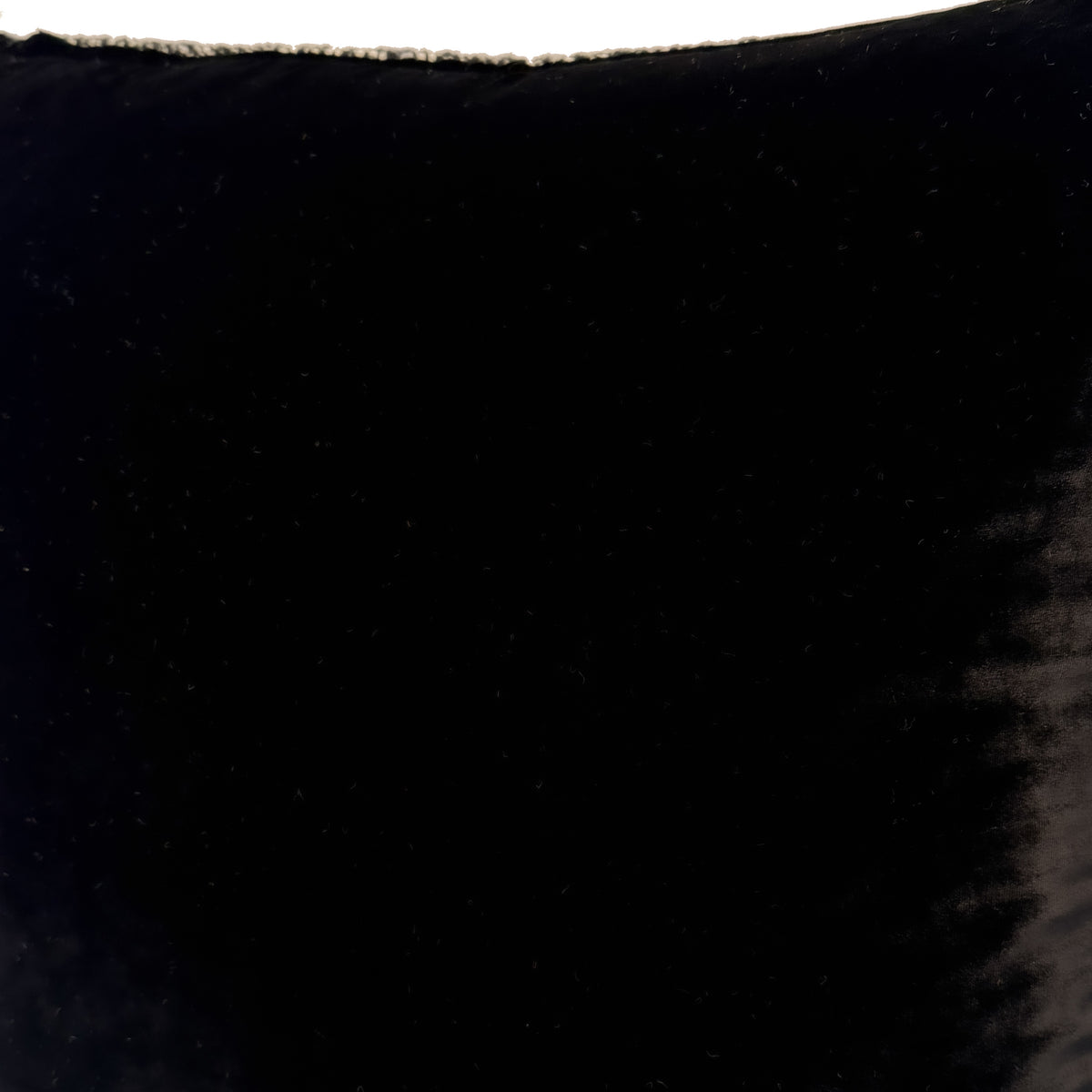 Ebony  - 13