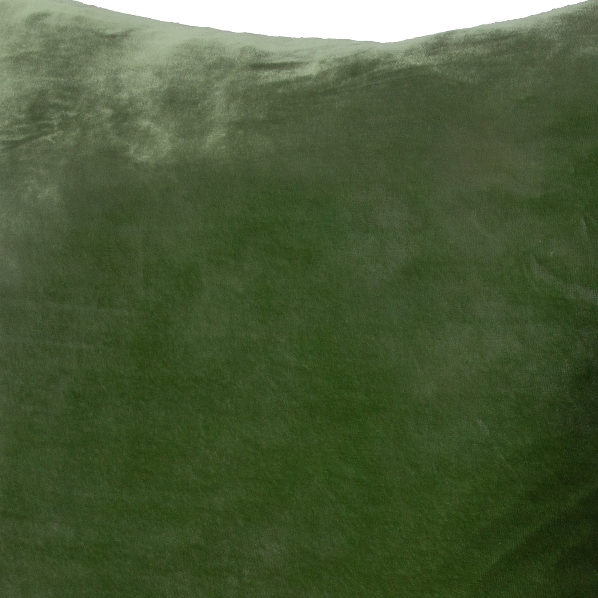 Sage - 6