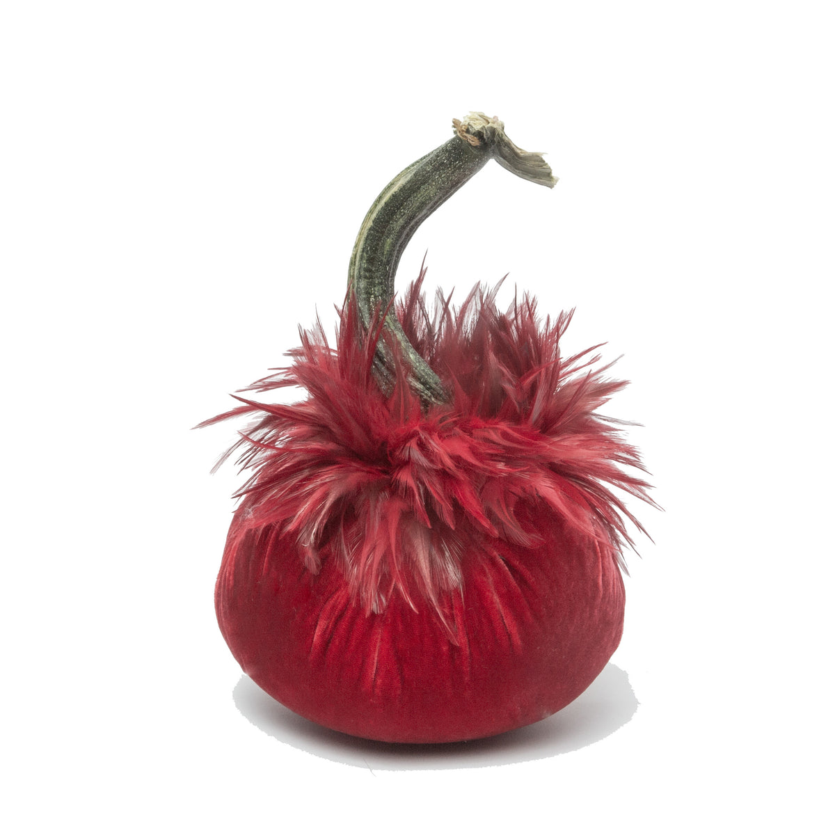 LIMITED 5" Poppy with Custom Feather Collar