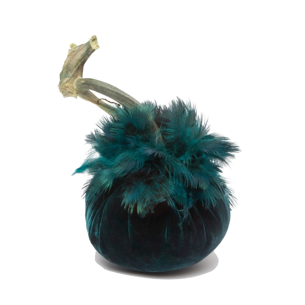 LIMITED 5" Sea with Custom Feather Collar