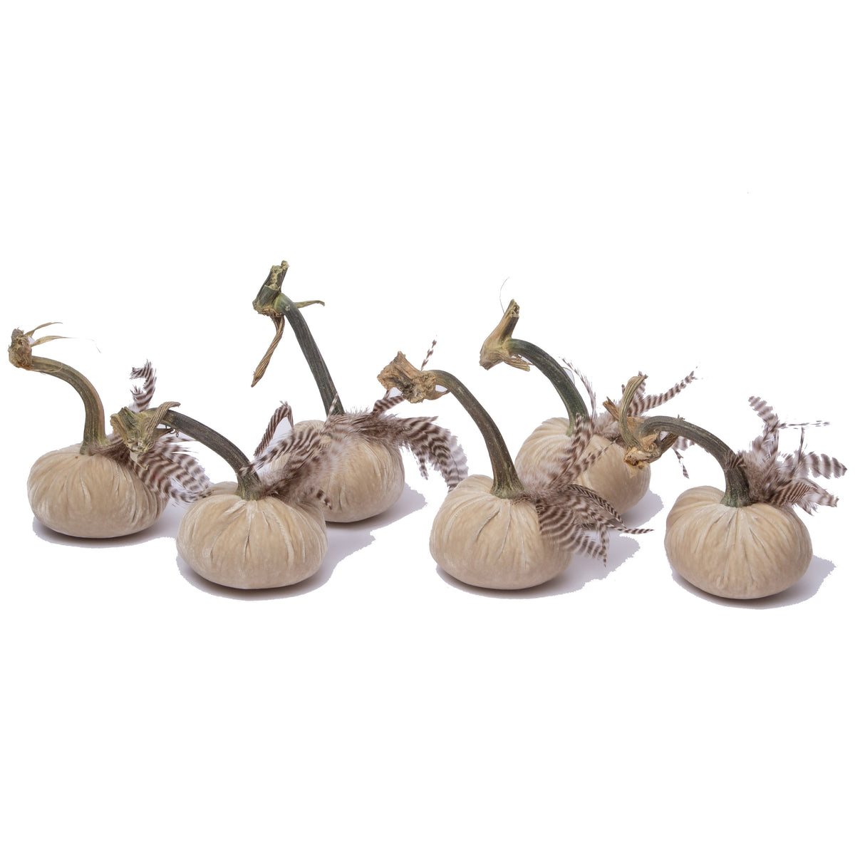 4" Bone with plumes (set of 6)