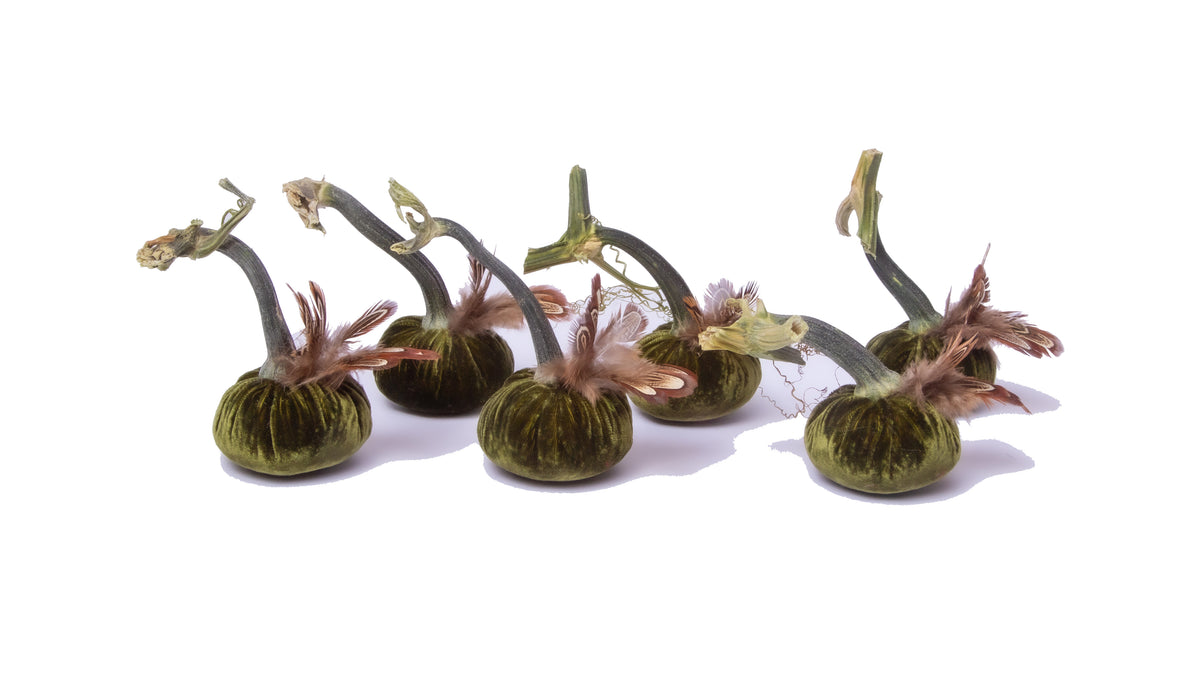 Set of 6 - 3" Moss with pheasant plume