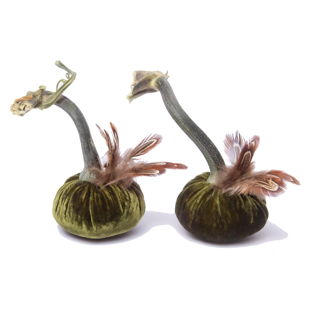 Set of 6 - 3" Moss with pheasant plume