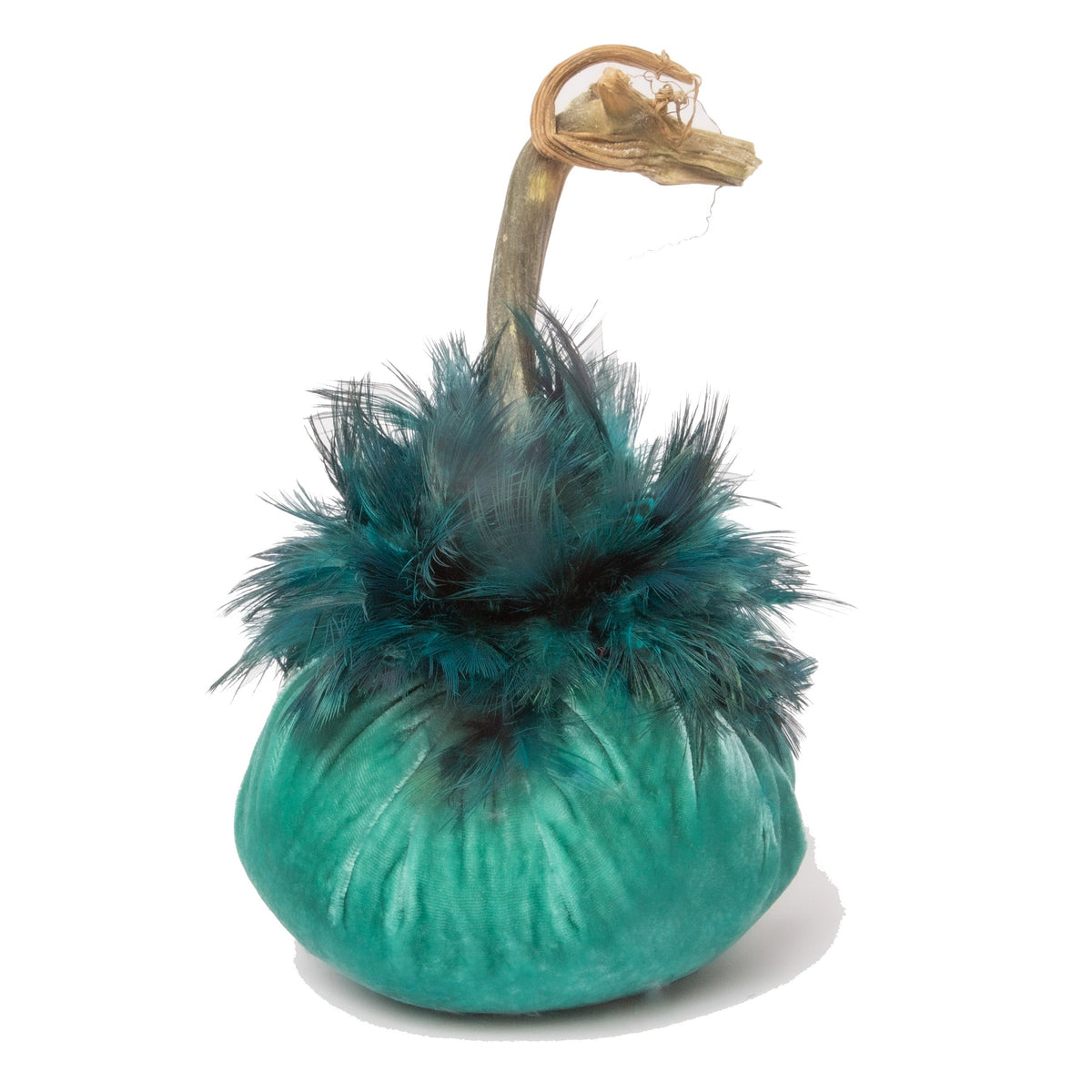 LIMITED 5" Lagoon with Custom Feather Collar