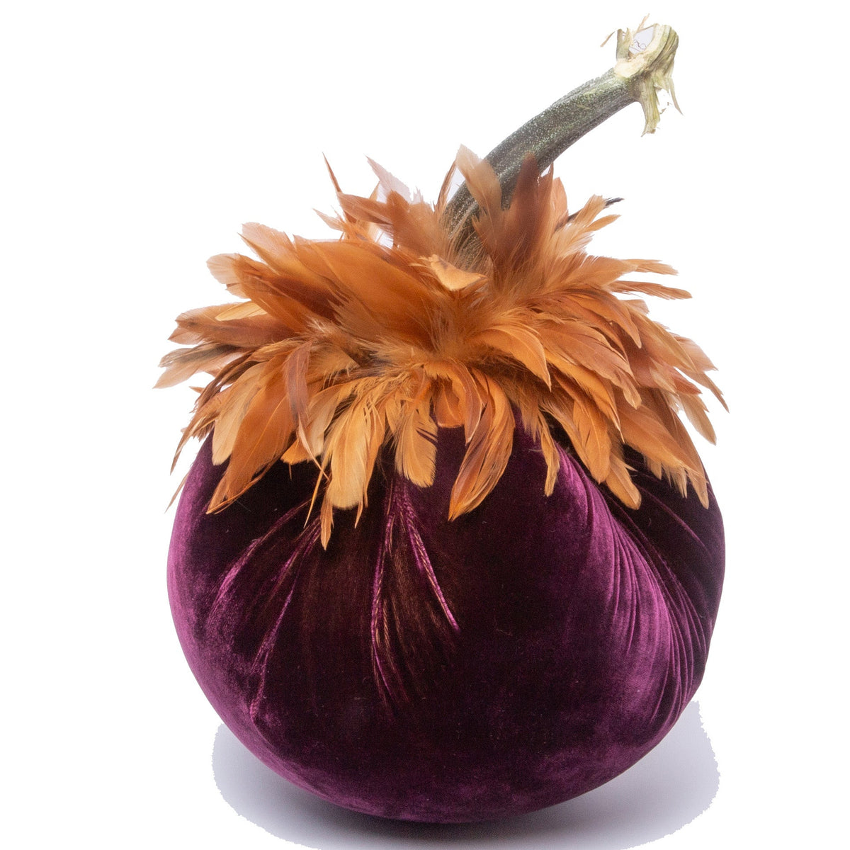 Eggplant w/Red Feather Collar