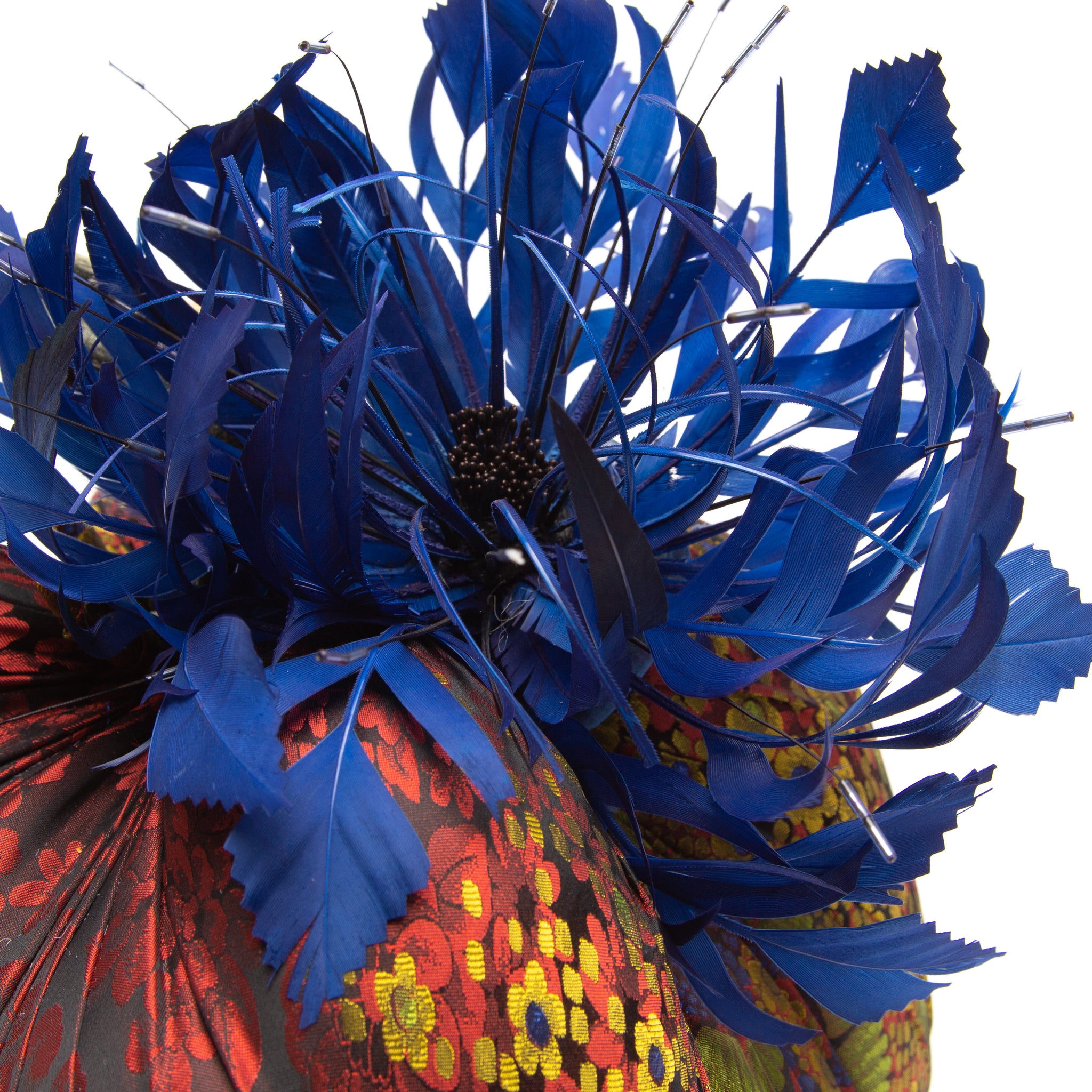 Hot Skwash Silk Velvet Pumpkins Entranced hotskwash