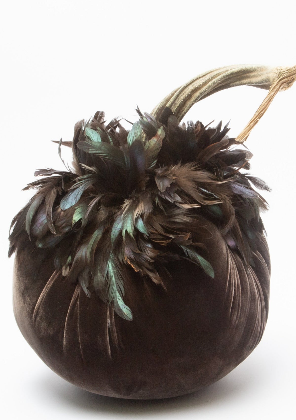 Espresso w/ Bronze Feather Collar