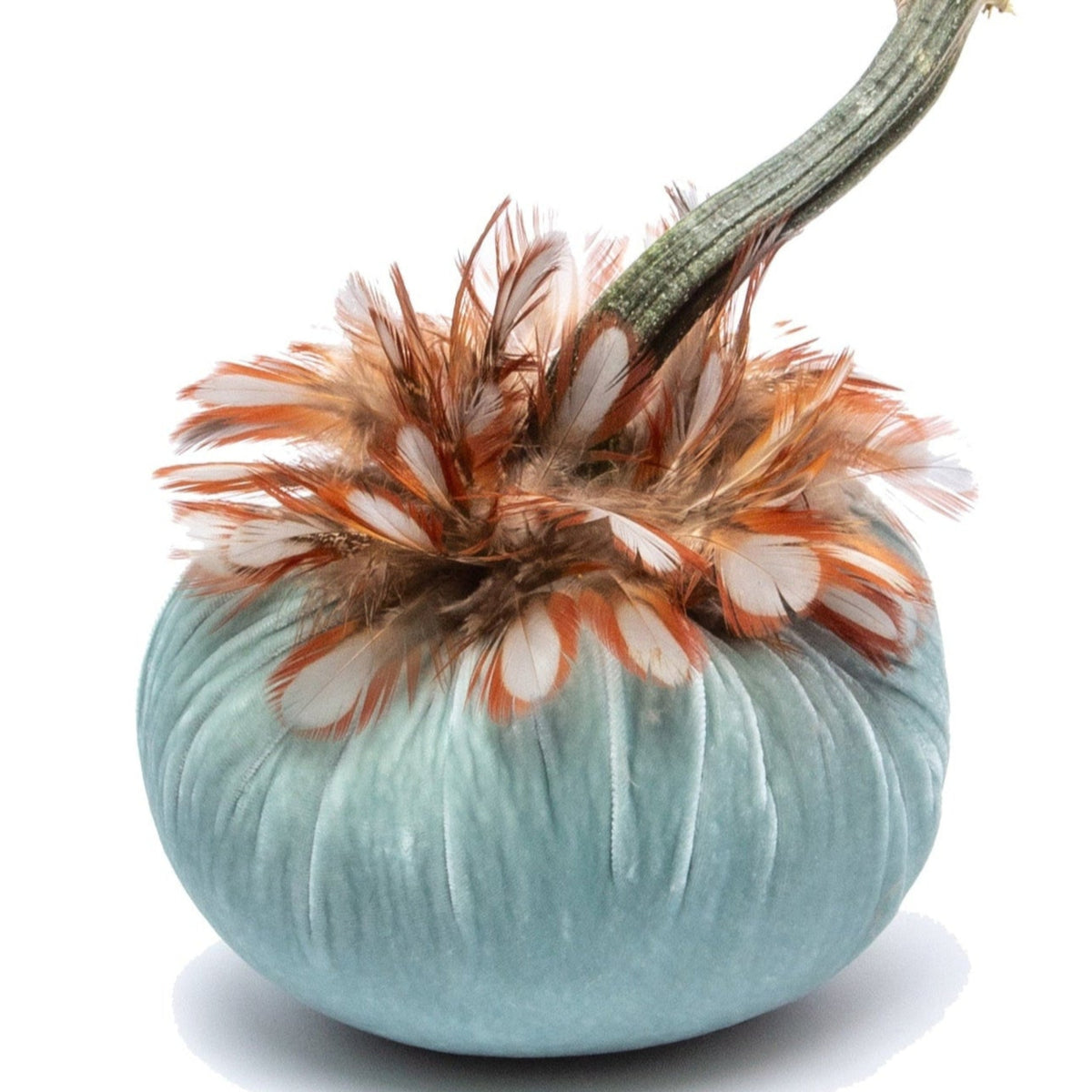 6&quot; Seafoam w/Partridge Feather Collar (Copy) (Copy)