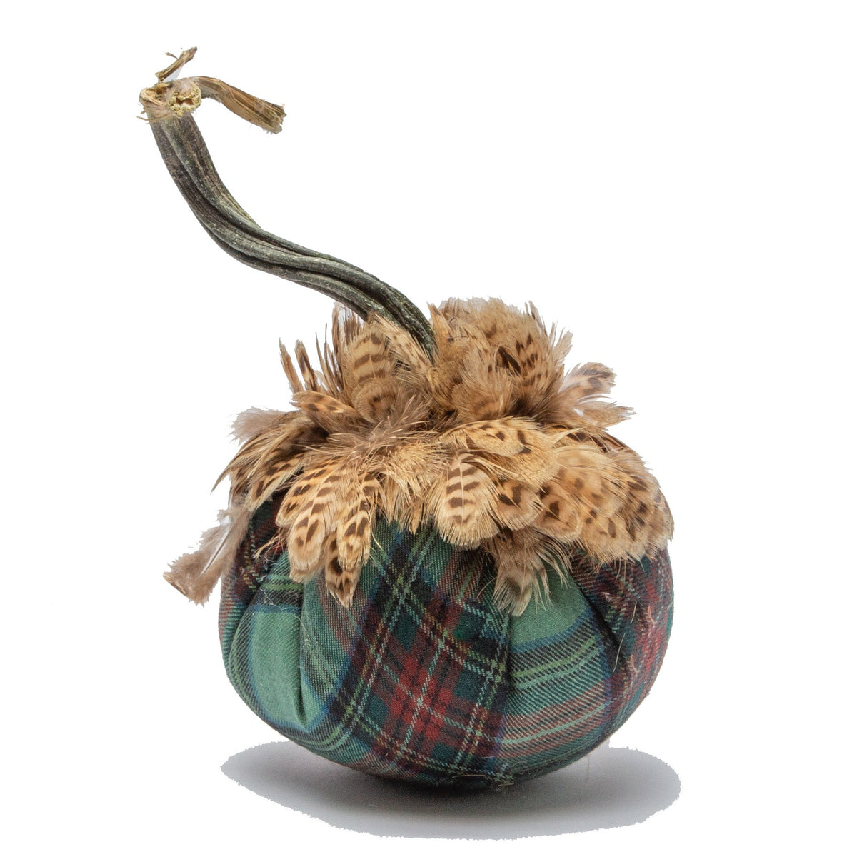 6&quot;Tartan Plaid with Collar