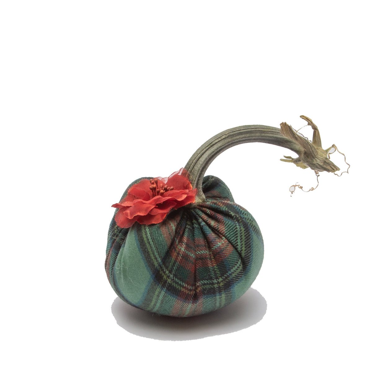 Tartan w/Flower